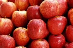 蘋果的主要營養(yǎng)功效有哪些？吃蘋果的養(yǎng)生好處有哪些？[圖]