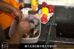 非洲人把蝸牛吃到滅絕，一年吃掉1500萬公斤[多圖]