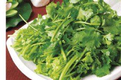 香菜在生活中有什么功效？香菜肉絲怎么做？[圖]