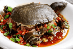 吃龜肉有什么好處？龜肉適合哪些人群食用？[圖]