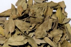 羅布麻茶哪些人不宜服用？心血管疾病主要有哪幾種？[圖]