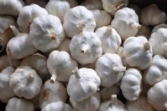 吃大蒜有哪些益處？大蒜的營養(yǎng)功效是什么？[圖]