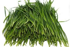 吃韭菜有能防治哪些疾??？韭菜的養(yǎng)生食譜有哪些？[圖]