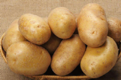 土豆具有的養(yǎng)生功效是什么？多吃土豆對身體有什么好處？[圖]