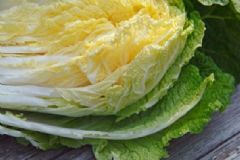 冬天適合吃白菜嗎？冬天吃白菜的好處是什么？[圖]