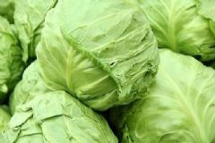 圓白菜有哪些食療作用？圓白菜有哪些營養(yǎng)價值？[圖]