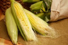 玉米須的功效作用有哪些？吃玉米須對(duì)健康有什么好處？[圖]
