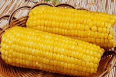 玉米的營(yíng)養(yǎng)有什么價(jià)值？玉米有哪些美味吃法？[圖]