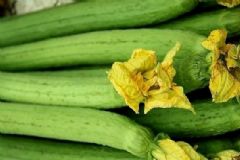 絲瓜有哪些養(yǎng)生吃法？怎樣吃絲瓜養(yǎng)生效果好？[圖]