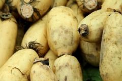 秋季吃蓮藕有什么好處？蓮藕有哪些營養(yǎng)吃法？[圖]