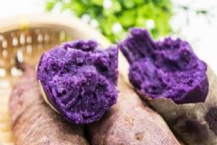 吃紫薯對健康有什么好處？紫薯有哪些養(yǎng)生功效？[圖]