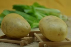 吃土豆能夠抗抗抑郁嗎？吃土豆能防治哪些疾?。縖圖]