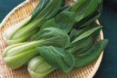 吃油菜的養(yǎng)生功效有哪些？油菜有哪些食療方法？[圖]