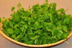 西洋菜有哪些營(yíng)養(yǎng)價(jià)值？西洋菜豆腐湯怎么做？[圖]
