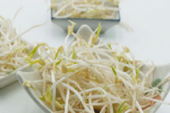 綠豆芽的藥用功效有什么？綠豆芽的食用宜忌有什么？[圖]