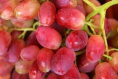 提子有哪些功效作用？吃提子有什哪些養(yǎng)生作用？[圖]
