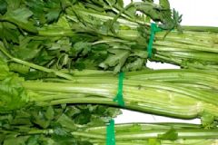 芹菜食療價值有哪些？芹菜有哪些食療吃法？[圖]