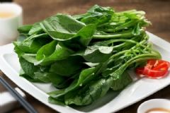 吃菠菜能防治哪些疾??？菠菜的食療方法有哪些？[圖]