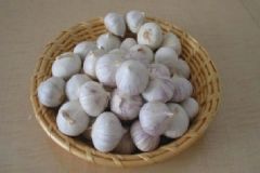 大蒜的營養(yǎng)吃法有哪些？大蒜的不同吃法有什么好處？[圖]