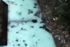 南通一河流變"牛奶河"氣味刺鼻，如何舉報違規(guī)企業(yè)？[多圖]