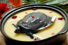 男性喝甲魚湯有什么好處？甲魚湯有哪些做法？[圖]