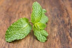 薄荷葉的功效和作用有哪些？薄荷葉有哪些功效呢？[圖]