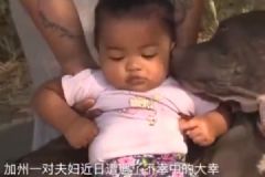 美國夫婦家中失火，大斗牛犬救出7個(gè)月女嬰[多圖]