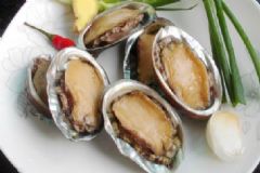 女人吃鮑魚(yú)的好處有哪些？鮑魚(yú)的營(yíng)養(yǎng)價(jià)值高嗎？[圖]