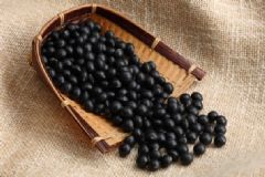 黑豆為什么最補(bǔ)腎？黑豆的補(bǔ)腎食譜有哪些？[圖]