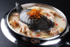 甲魚有哪些功效及作用？甲魚的功效及作用有哪些？[圖]