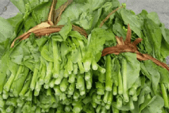 白菜薹營養(yǎng)價值有什么？白菜薹食療作用有什么？[圖]