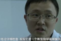 養(yǎng)鴿子患上怪病，新型隱球菌性腦膜炎死亡率高[多圖]