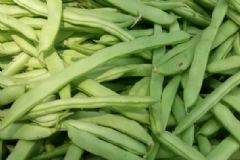 哪些食物會(huì)導(dǎo)致食物中毒？吃什么蔬菜要小心中毒？[圖]