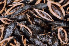 湖南口腔癌高發(fā)患者多愛嚼檳榔，有人不吃六神無主[多圖]