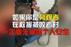 惡犬撲咬無(wú)路逃！下一步你該咋辦？[多圖]
