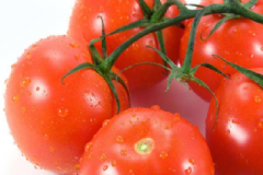 什么食物不能和西紅柿一起吃？吃西紅柿對(duì)身體的好處是什么？[圖]