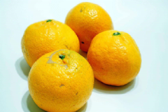 最傷胃的蔬果有哪些？吃什么食物養(yǎng)胃效果好？[圖]