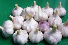 有哪些常見(jiàn)的防癌蔬菜？吃什么蔬菜防癌效果最好？[圖]