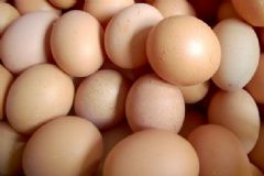 吃雞蛋有哪些禁忌事項(xiàng)？如何有效避免雞蛋中的細(xì)菌？[圖]