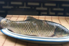 如何吃魚才健康？吃魚的時(shí)候注意什么？[圖]
