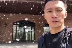 謝霆鋒吃柳絮，如何預(yù)防柳絮過(guò)敏？[多圖]