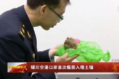 境外回國(guó)帶了包土壤！這個(gè)不可以入境！[多圖]