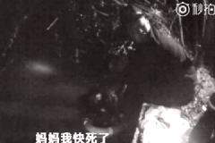 男子醉酒掉河大呼“媽媽救我”，喝醉酒了怎樣醒酒？[多圖]