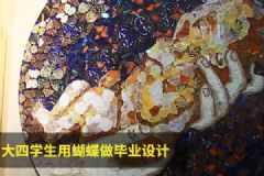 用活蝴蝶做畢業(yè)設(shè)計(jì)！是藝術(shù)還是殘忍？[多圖]