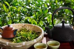 隔夜茶可以常喝嗎？隔夜茶喝了好嗎？[圖]