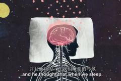 沒睡好的人腦子里都是垃圾！睡覺到底有多重要？[多圖]