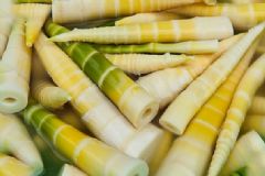 哪些人要少吃春筍？春筍的飲食禁忌有哪些？[圖]