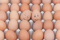 雞蛋怎么保存不容易壞？雞蛋的存儲(chǔ)方法有哪些？[圖]