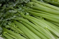 吃芹菜要注意什么禁忌？吃芹菜對健康能帶來哪些好處？[圖]