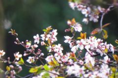前方“倒春寒”高能預(yù)警！這三類高發(fā)疾病需警惕！[多圖]